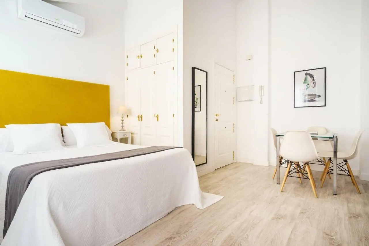 Loft, Centro Historico Hotel Malaga Apartment
